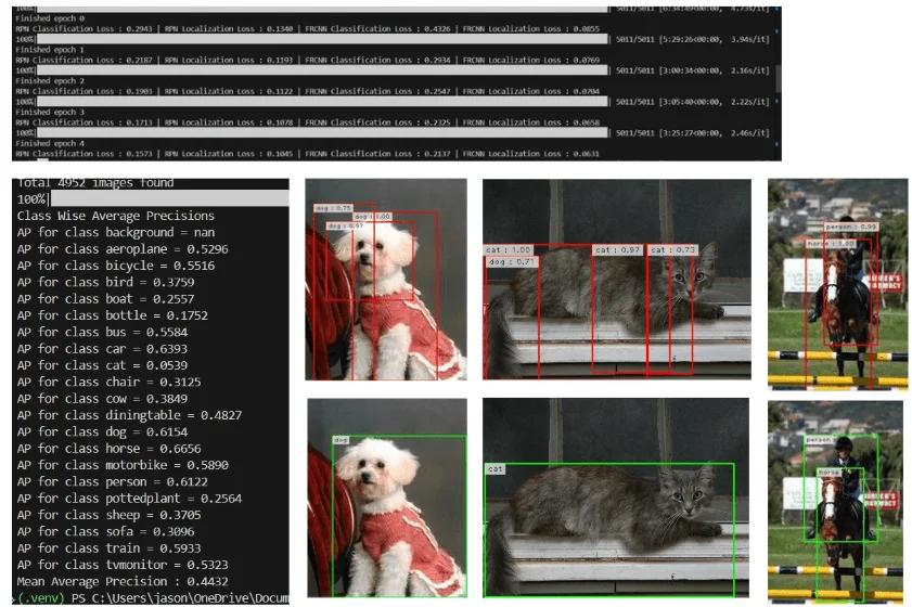 Object Detection Model Output